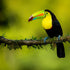 Costa Rica: A Photography Guide To A Sustainable Paradise